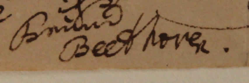 Conserving Beethoven Autographs
